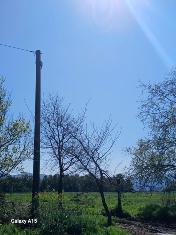 terreno agricolo in vendita a Fondi