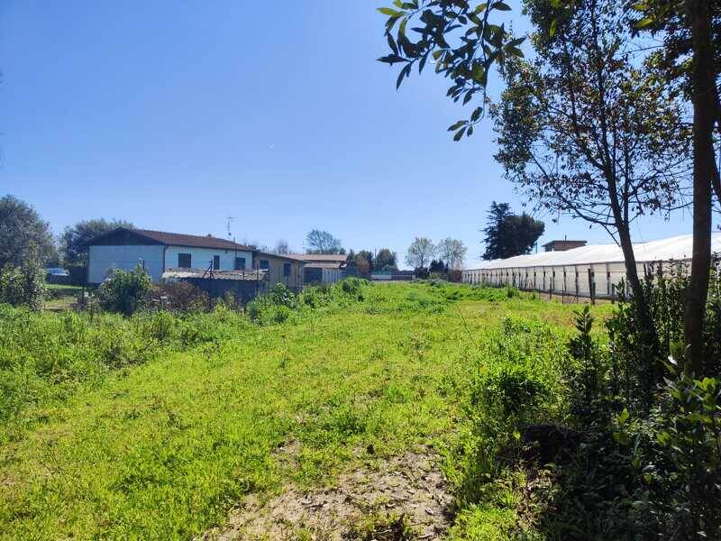 terreno agricolo in vendita a Fondi