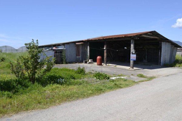 terreno agricolo in vendita a Fondi