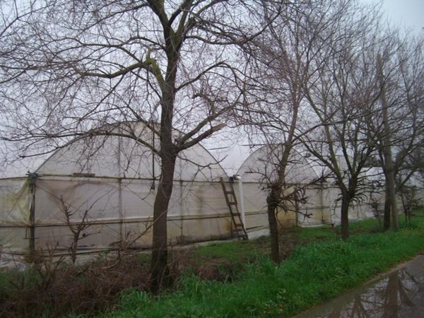 terreno agricolo in vendita a Fondi in zona Salto di Fondi