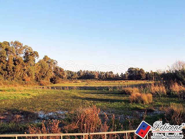 terreno agricolo in vendita a Fondi