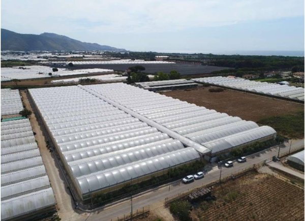 azienda agricola in vendita a Fondi in zona Rio Claro