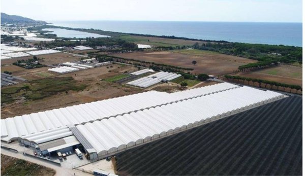 azienda agricola in vendita a Fondi in zona Rio Claro