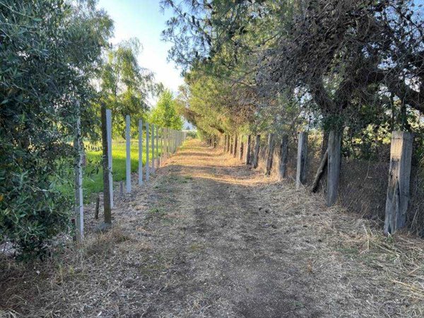 terreno agricolo in vendita a Fondi