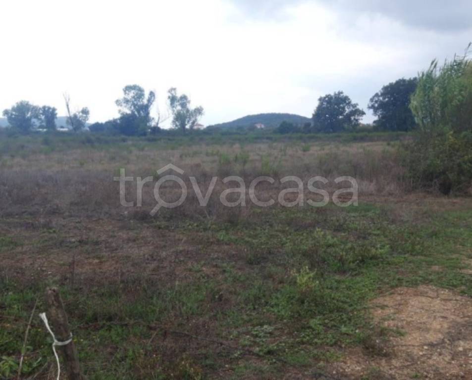 terreno agricolo in vendita a Fondi