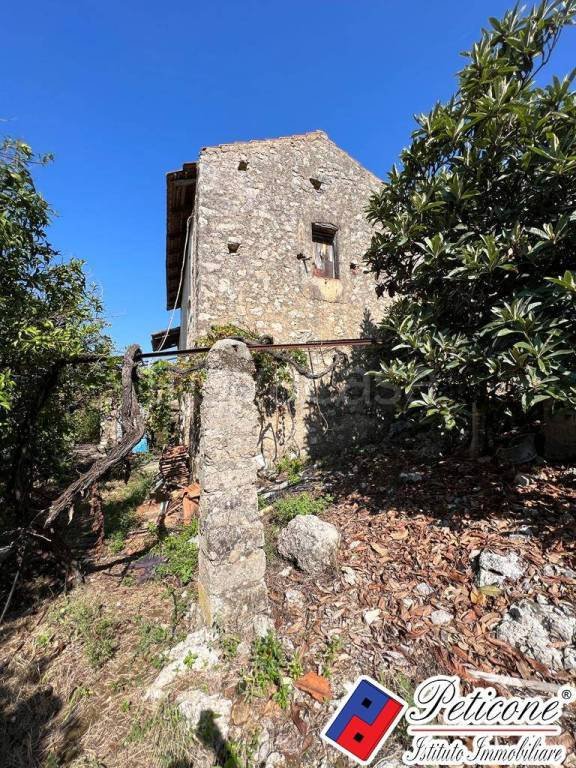 terreno agricolo in vendita a Fondi in zona Gegni