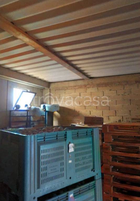 negozio in vendita a Fondi