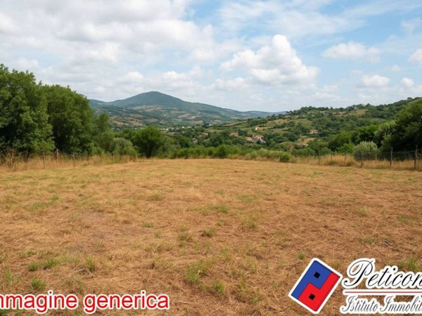 terreno agricolo in vendita a Fondi
