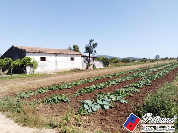 terreno agricolo in vendita a Fondi