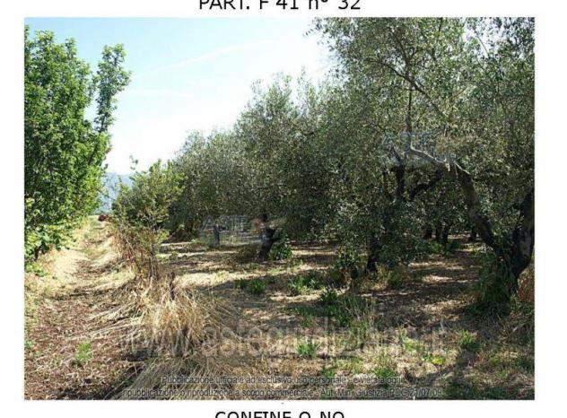 terreno agricolo in vendita a Fondi