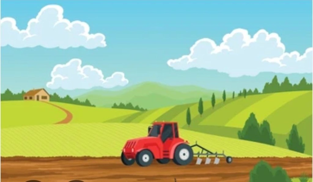 terreno agricolo in vendita a Fondi