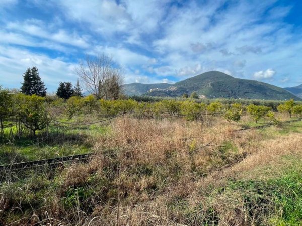 terreno agricolo in vendita a Fondi