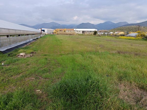 terreno agricolo in vendita a Fondi