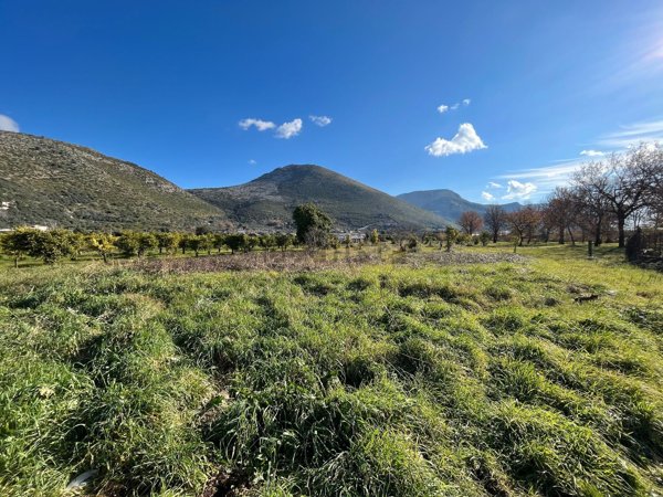 terreno agricolo in vendita a Fondi