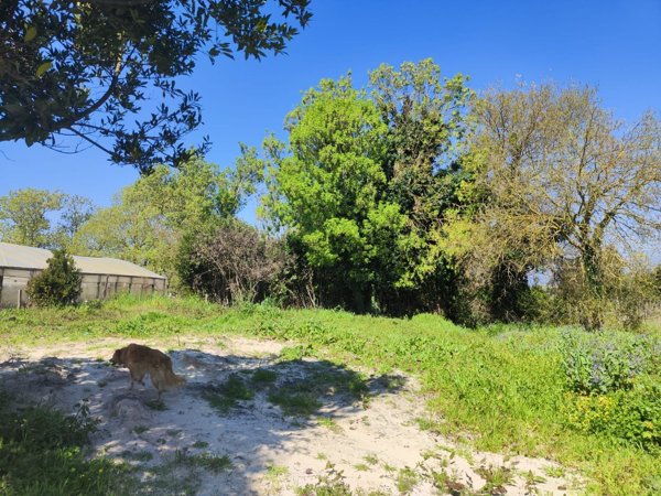 terreno agricolo in vendita a Fondi