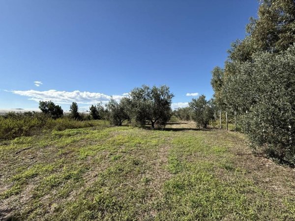 terreno agricolo in vendita a Fondi