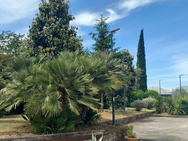 pentavano in vendita a Fondi