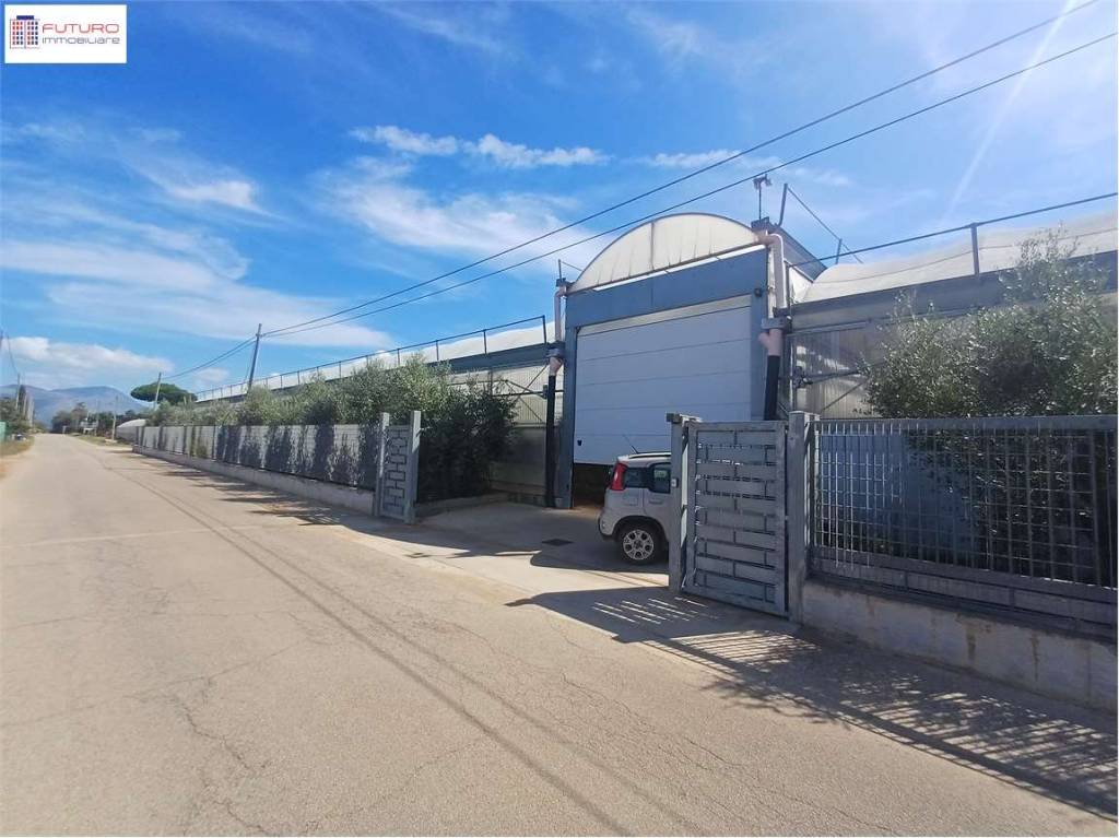 azienda agricola in vendita a Fondi