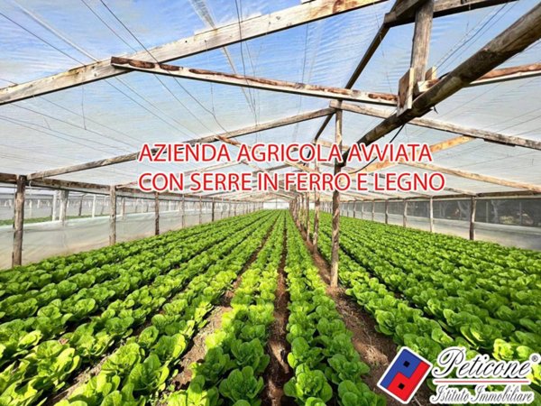 terreno agricolo in vendita a Fondi