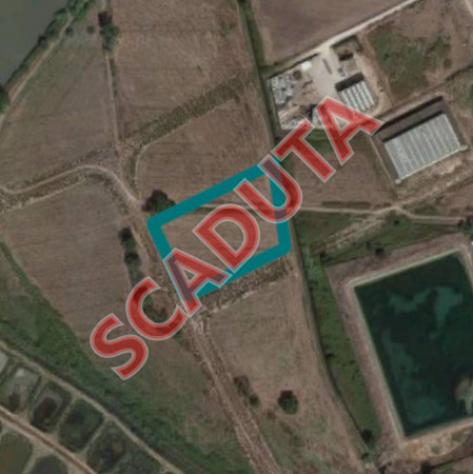 terreno agricolo in vendita a Fondi