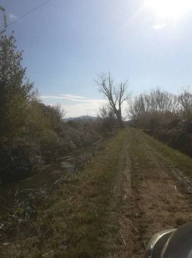 terreno agricolo in vendita a Fondi