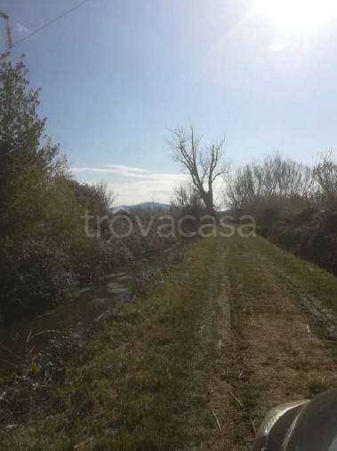 terreno agricolo in vendita a Fondi