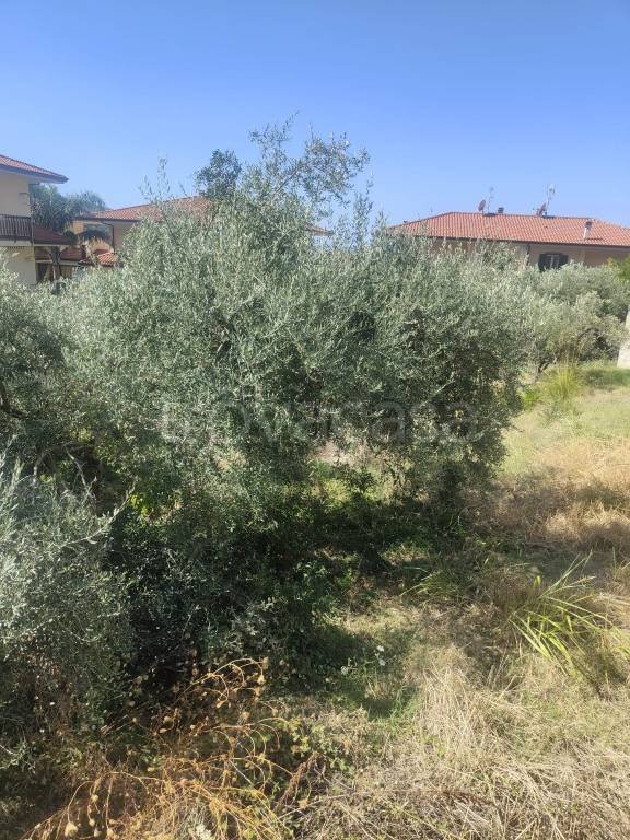 terreno agricolo in vendita a Fondi in zona Querce