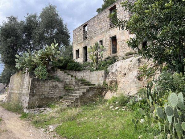 esavano in vendita a Fondi in zona Gegni