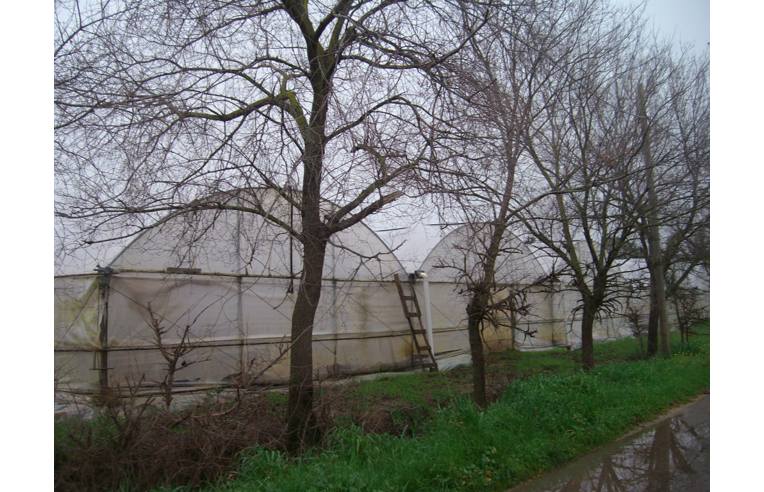 terreno agricolo in vendita a Fondi in zona Salto di Fondi