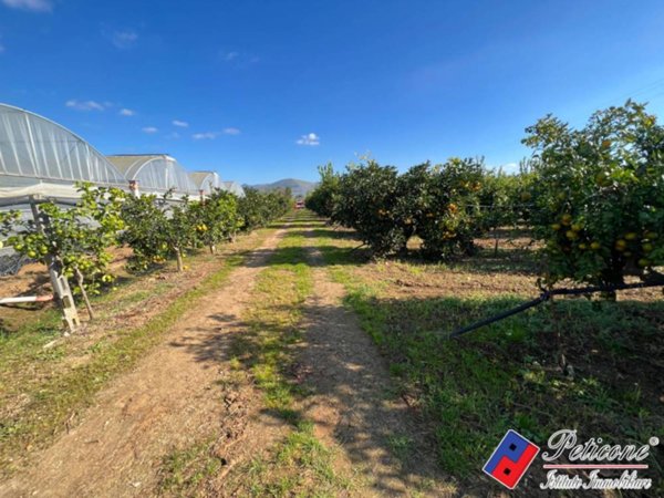 terreno agricolo in vendita a Fondi