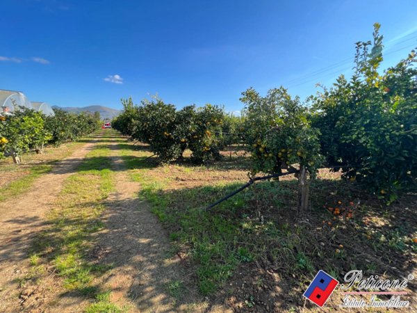 terreno agricolo in vendita a Fondi