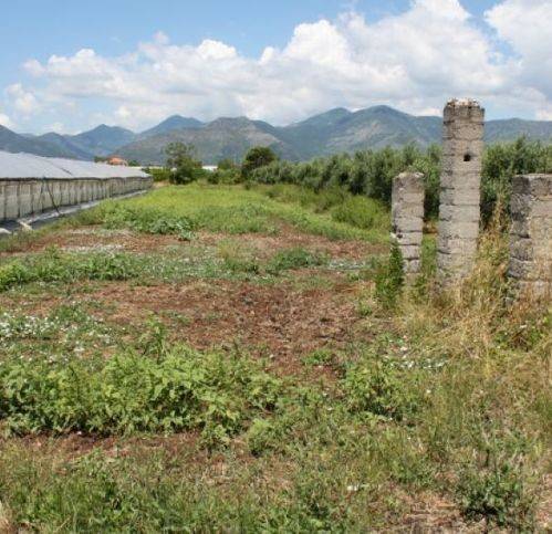 terreno agricolo in vendita a Fondi