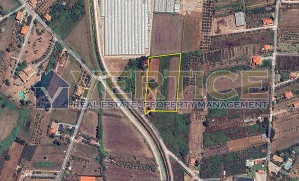 terreno agricolo in vendita a Fondi in zona Gegni