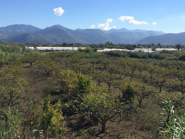 terreno in vendita a Fondi