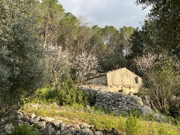 casale in vendita a Fondi