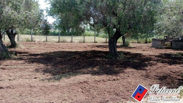 terreno in vendita a Fondi