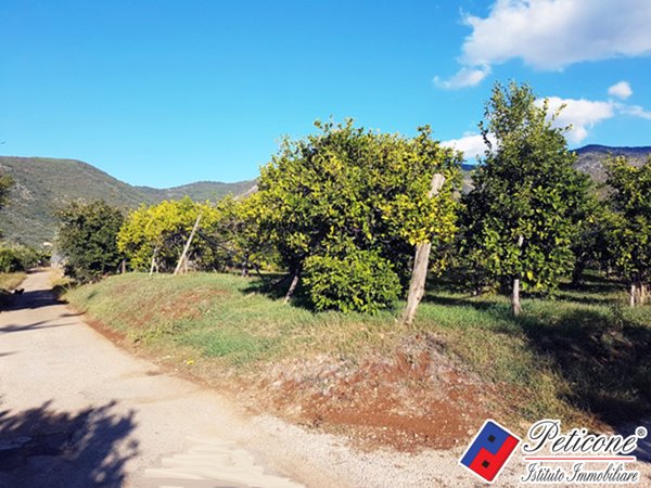 terreno in vendita a Fondi