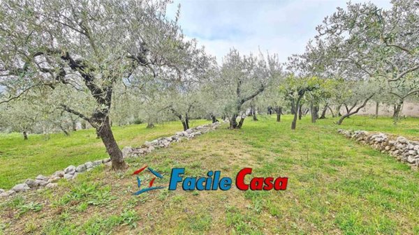 terreno agricolo in vendita a Formia in zona Trivio