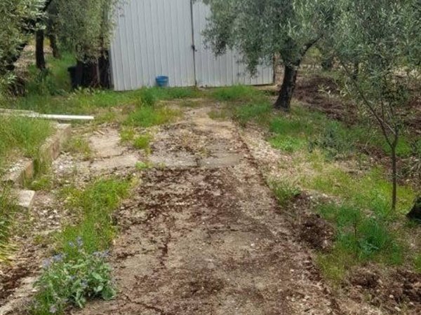 terreno agricolo in vendita a Formia in zona Castellonorato