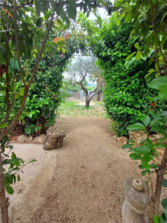 terreno agricolo in vendita a Formia