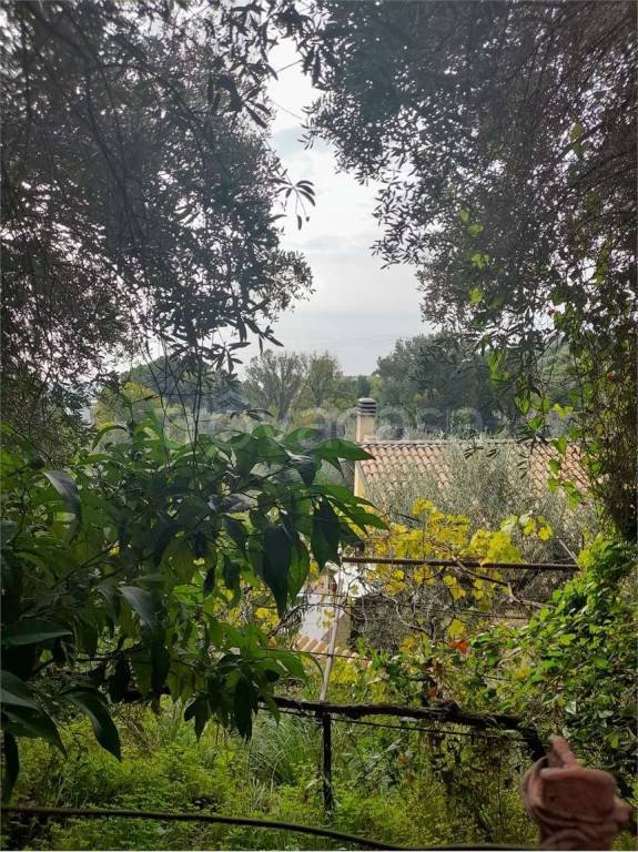terreno agricolo in vendita a Formia