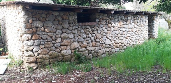 terreno agricolo in vendita a Formia in zona Trivio