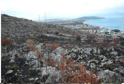 terreno agricolo in vendita a Formia
