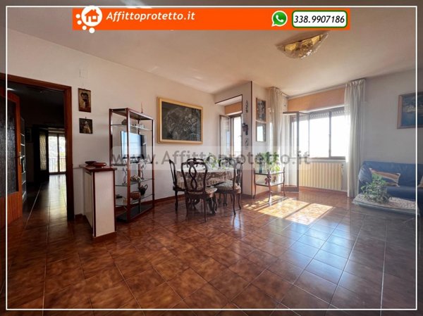immagine annuncio 0 di 15