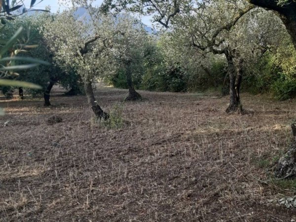 terreno agricolo in vendita a Formia
