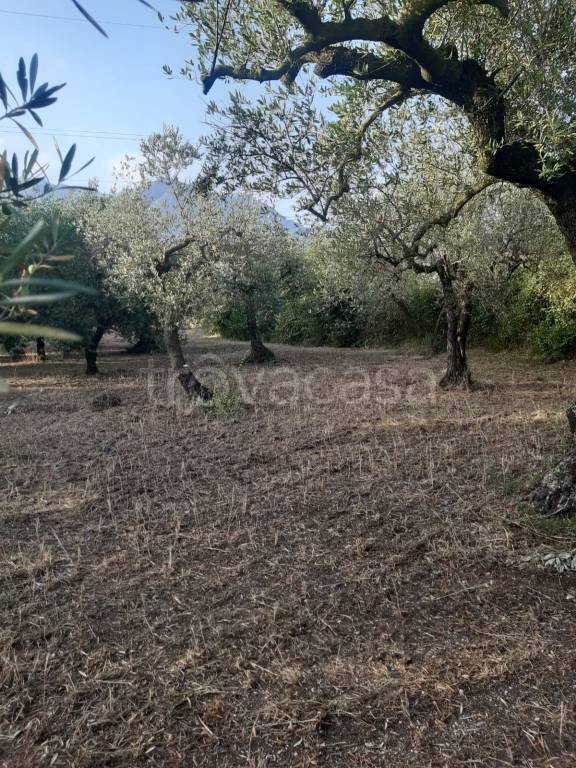 terreno agricolo in vendita a Formia