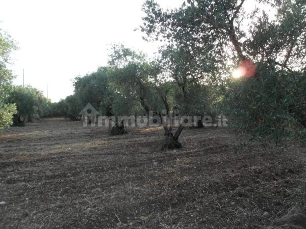 terreno agricolo in vendita a Formia