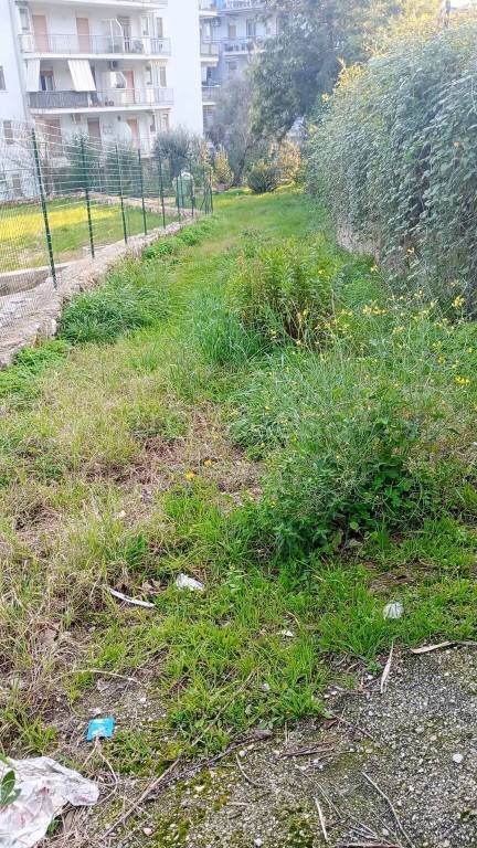 terreno agricolo in vendita a Formia