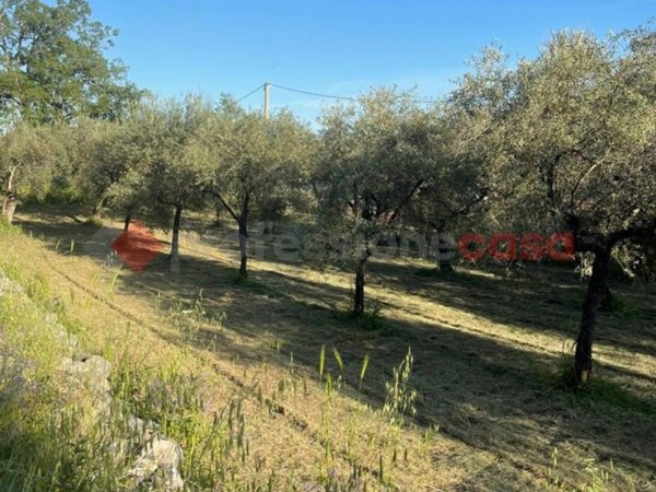 terreno agricolo in vendita a Formia
