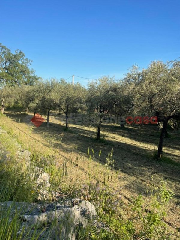 terreno agricolo in vendita a Formia
